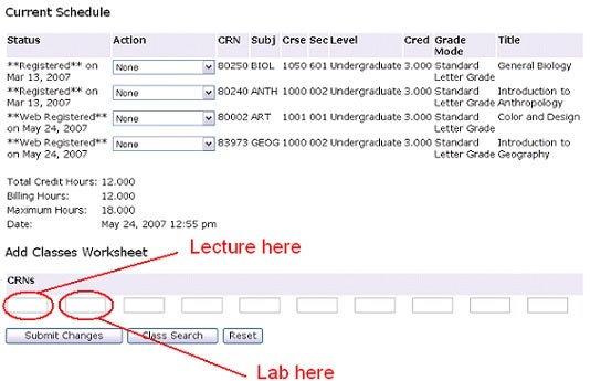 Under Add Class Worksheet in the CRNs boxes, put the CRN for the lecture in the first box and the CRN for the Lab in the second box.